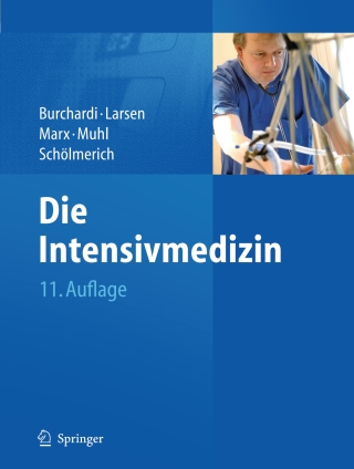 Die Intensivmedizin