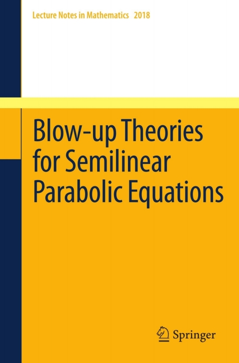 Cover image for book Blow-up Theories for Semilinear Parabolic Equations
