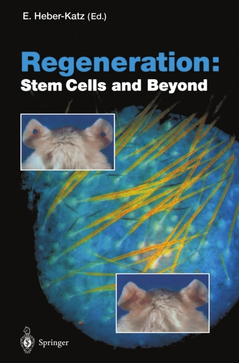 Cover image for book Regeneration: Stem Cells and Beyond