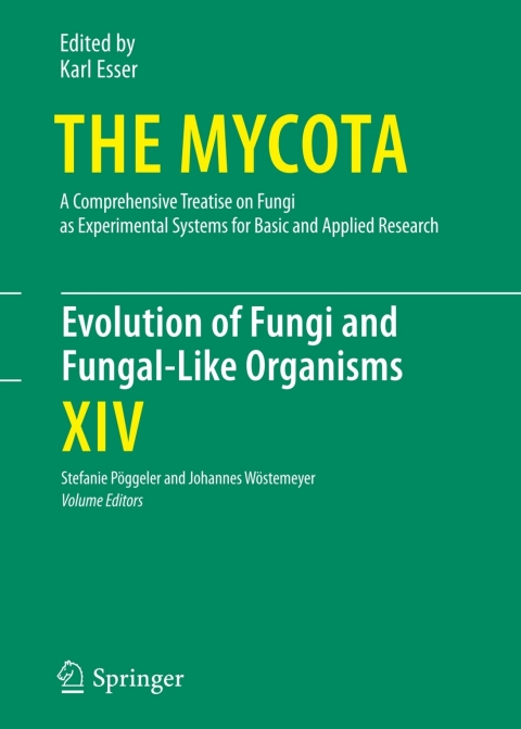 Cover image for book Evolution of Fungi and Fungal-Like Organisms