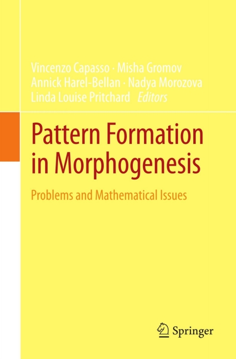 Cover image for book Pattern Formation in Morphogenesis