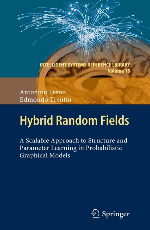 Cover image for book Hybrid Random Fields