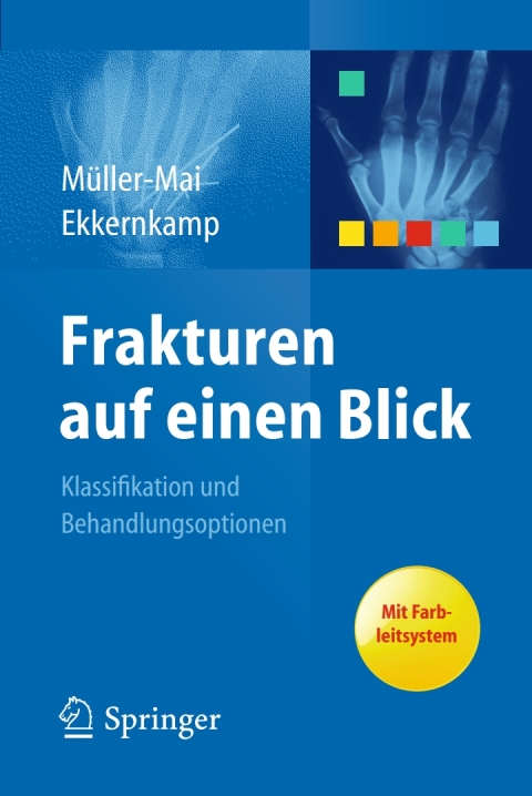 Cover image for book Frakturen auf einen Blick