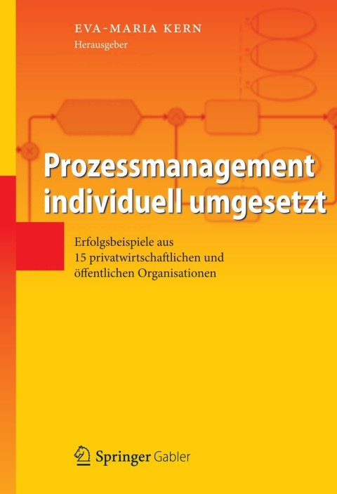 Cover image for book Prozessmanagement individuell umgesetzt