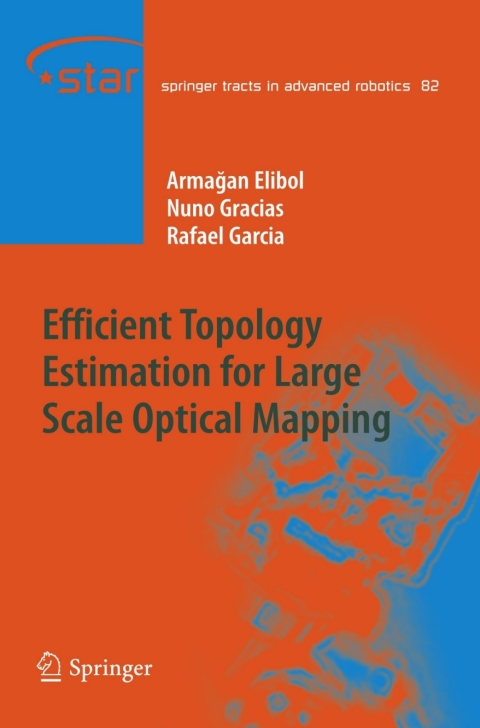 Cover image for book Efficient Topology Estimation for Large Scale Optical Mapping