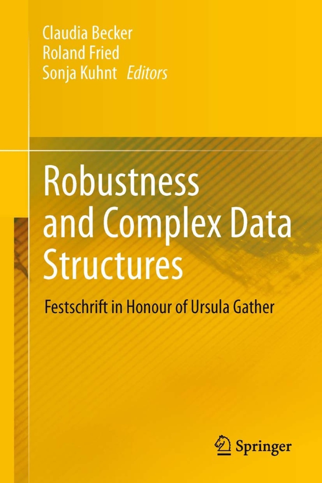 Robustness and Complex Data Structures (eBook)