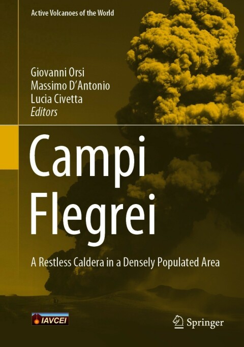 Cover image for book Campi Flegrei