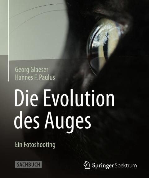 Die Evolution des Auges - Ein Fotoshooting 