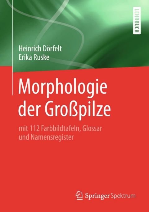 Cover image for book Morphologie der Großpilze