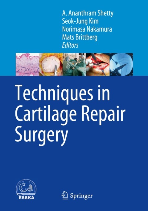 Cover image for book Techniques in Cartilage Repair Surgery