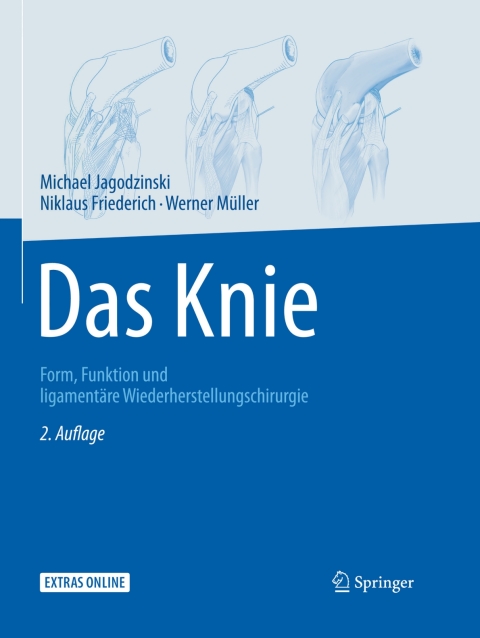 Das Knie 