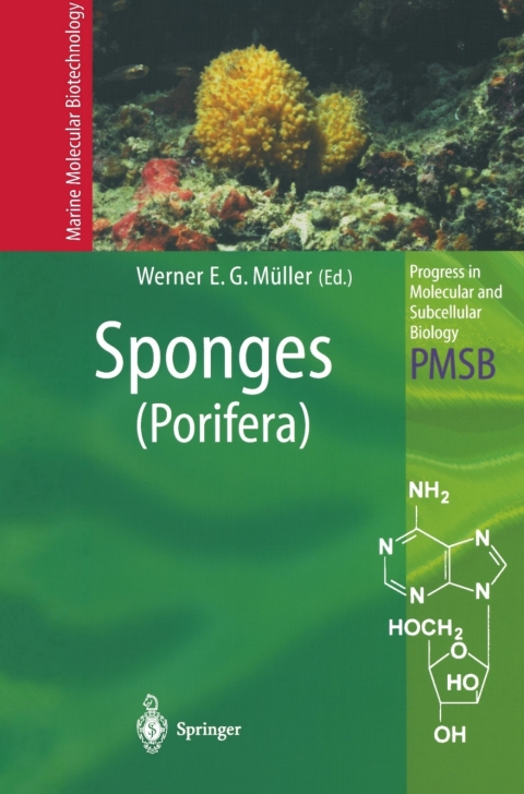 Cover image for book Sponges (Porifera)
