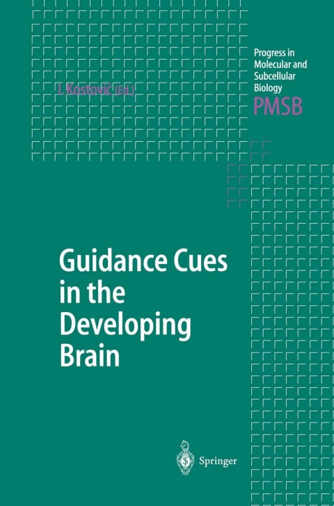 Cover image for book Guidance Cues in the Developing Brain