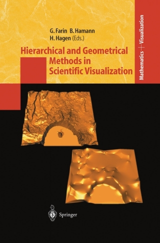 Hierarchical and Geometrical Methods in Scientific Visualization