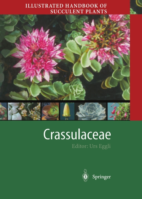 Cover image for book Illustrated Handbook of Succulent Plants: Crassulaceae