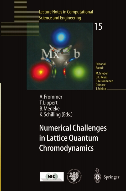Cover image for book Numerical Challenges in Lattice Quantum Chromodynamics