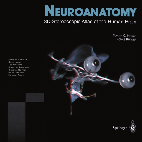 Neuroanatomy 