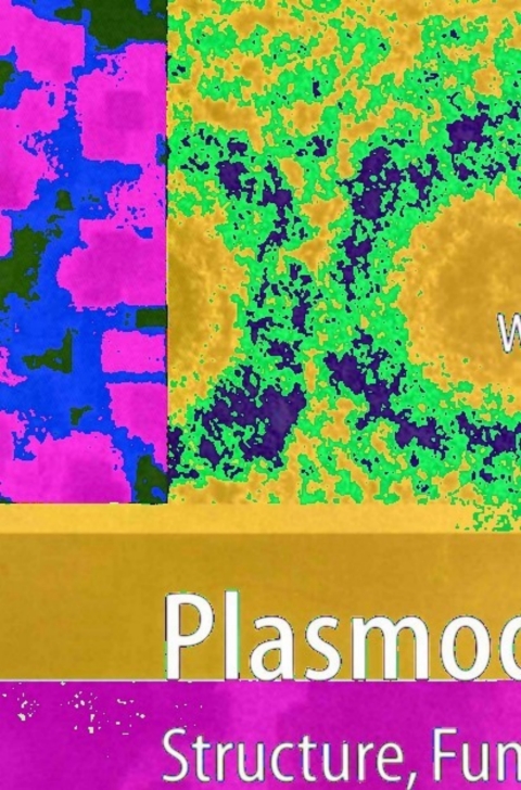 Cover image for book Plasmodesmata