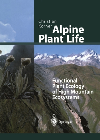 Alpine Plant Life