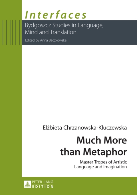Cover image for book Much More than Metaphor