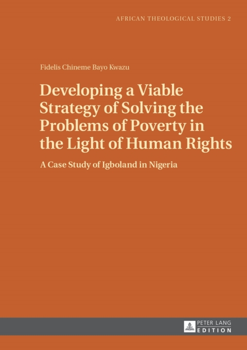 Cover image for book Developing a Viable Strategy of Solving the Problems of Poverty in the Light of Human Rights