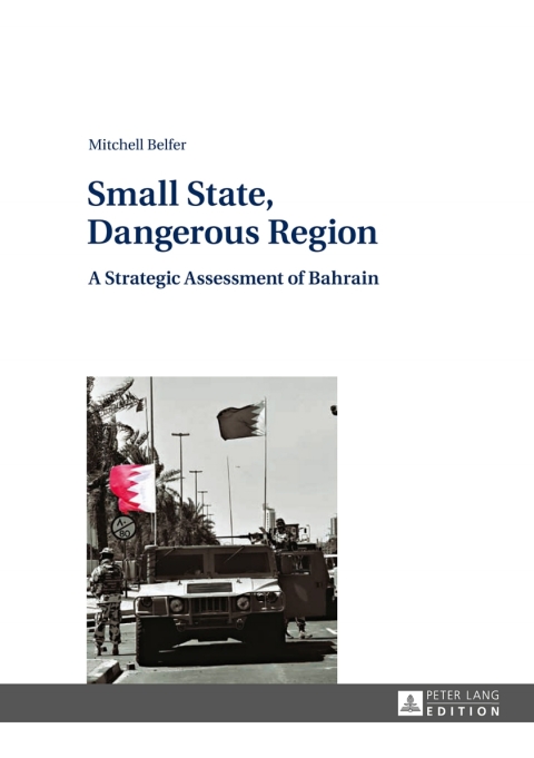 Cover image for book Small State, Dangerous Region