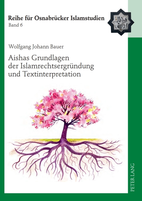 Cover image for book Aishas Grundlagen der Islamrechtsergruendung und Textinterpretation