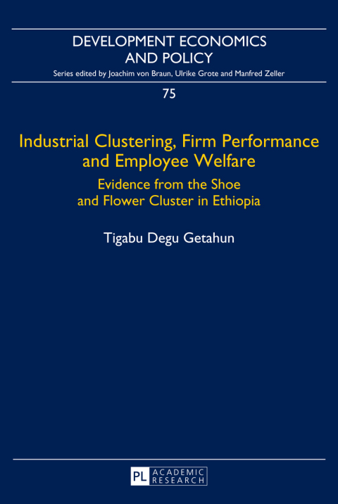Cover image for book Industrial Clustering, Firm Performance and Employee Welfare