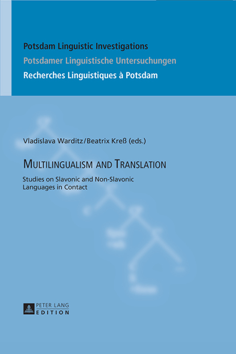 Cover image for book Multilingualism and Translation
