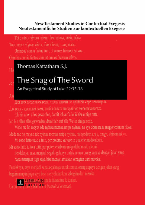 Cover image for book The Snag of The Sword