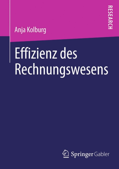 Cover image for book Effizienz des Rechnungswesens