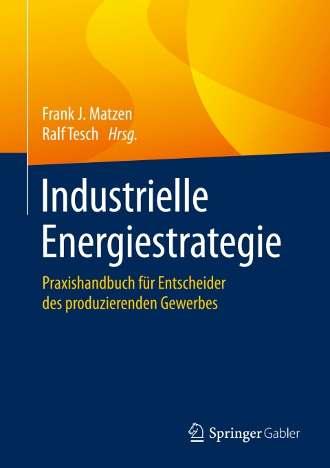 Cover image for book Industrielle Energiestrategie
