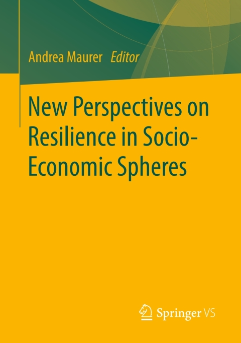 Cover image for book New Perspectives on Resilience in Socio-Economic Spheres