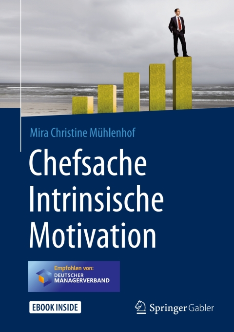 Cover image for book Chefsache Intrinsische Motivation