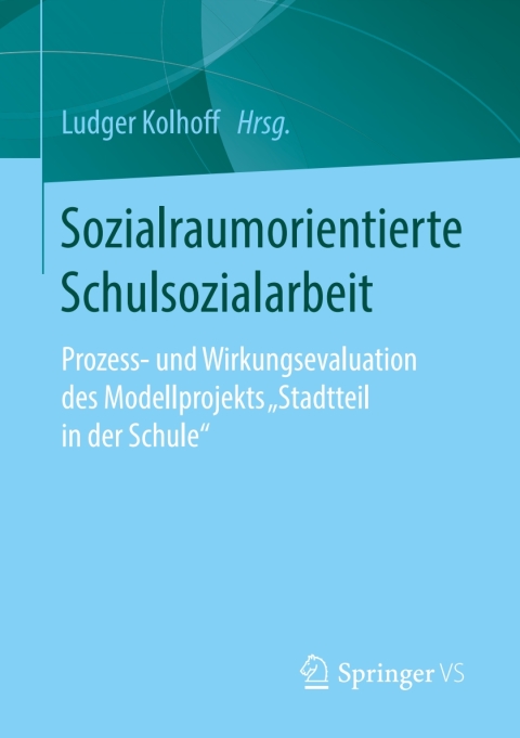 Cover image for book Sozialraumorientierte Schulsozialarbeit
