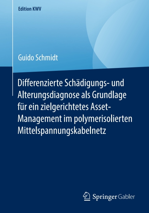 Cover image for book Differenzierte Schädigungs- und Alterungsdiagnose als Grundlage für ein zielgerichtetes Asset-Management im polymerisolierten Mittelspannungskabelnetz