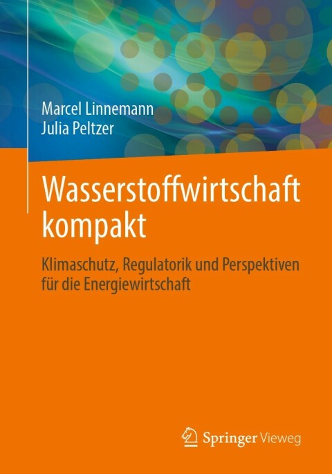 Cover image for book Wasserstoffwirtschaft kompakt