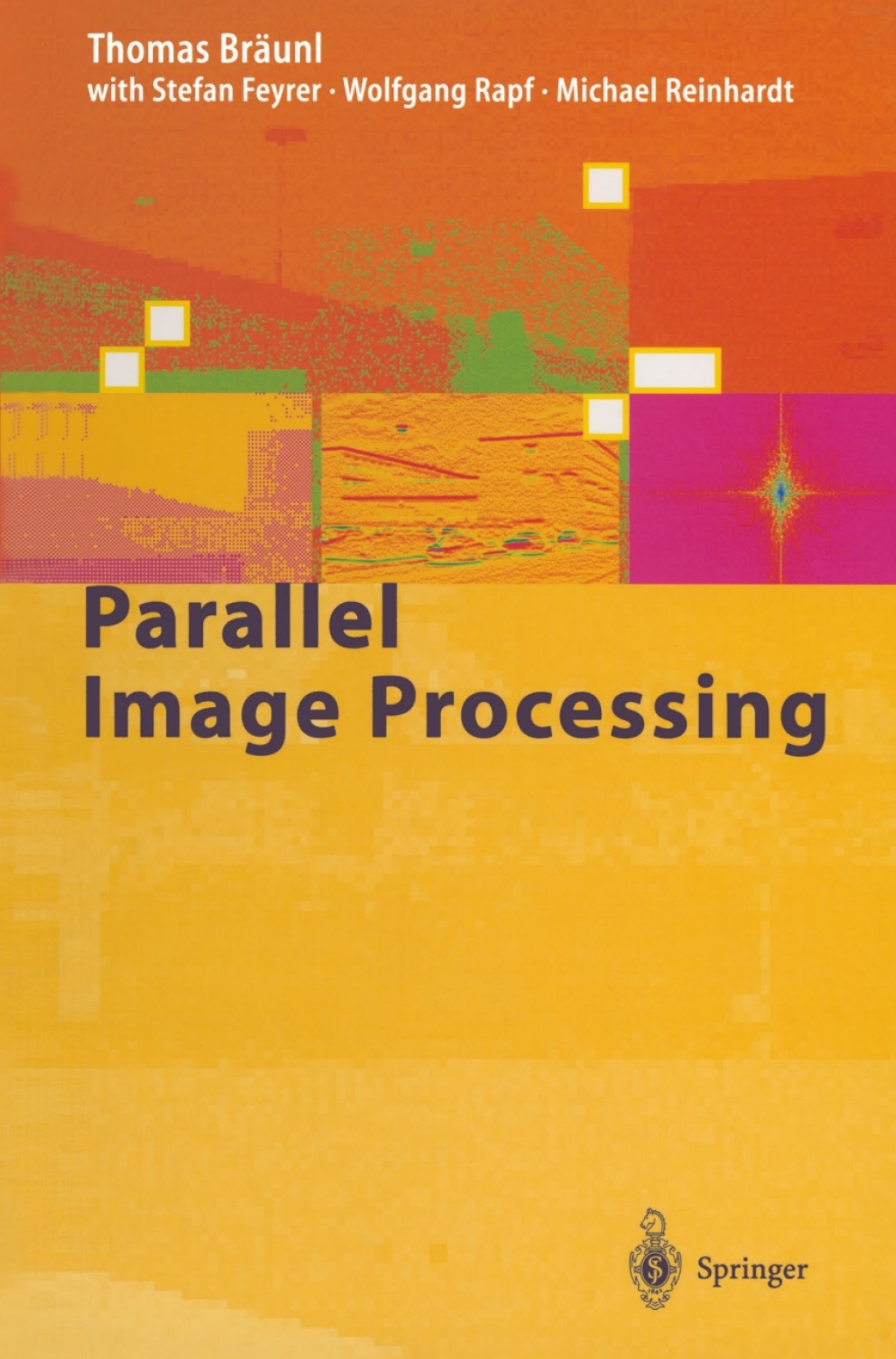 Parallel Image Processing (eBook)
