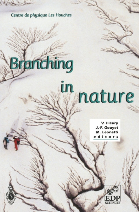 Cover image for book Branching in Nature