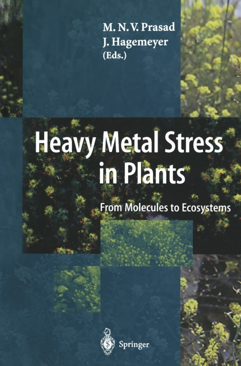 Cover image for book Heavy Metal Stress in Plants