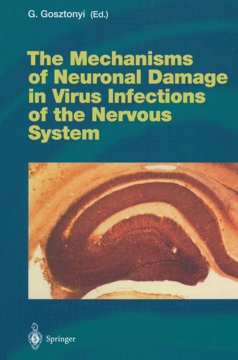 Cover image for book The Mechanisms of Neuronal Damage in Virus Infections of the Nervous System