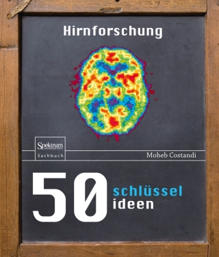 50 Schlüsselideen Hirnforschung