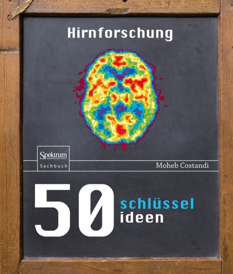 Cover image for book 50 Schlüsselideen Hirnforschung