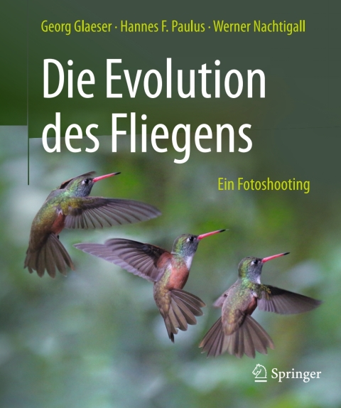 Die Evolution des Fliegens â Ein Fotoshooting 