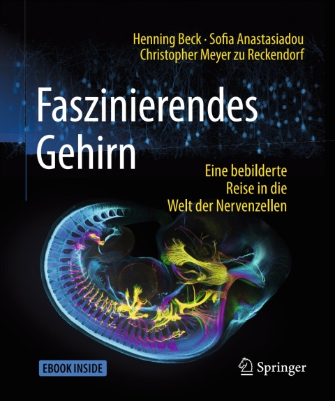 Cover image for book Faszinierendes Gehirn
