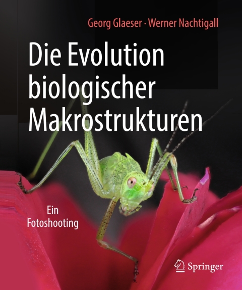 Die Evolution biologischer Makrostrukturen 