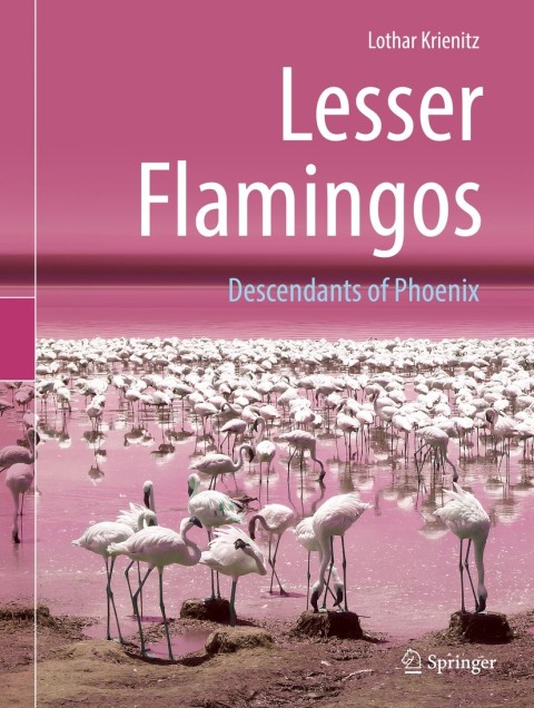 Cover image for book Lesser Flamingos