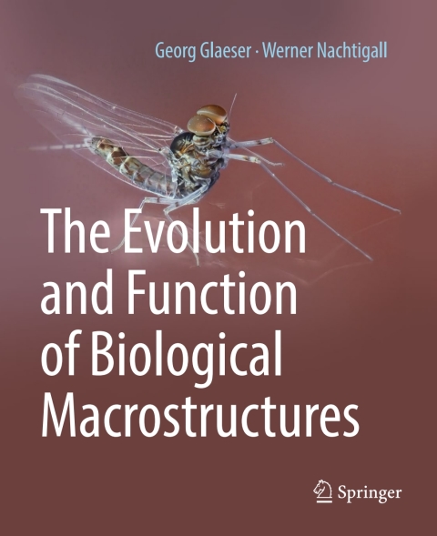 The Evolution and Function of Biological Macrostructures 