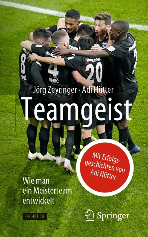 Cover image for book Teamgeist