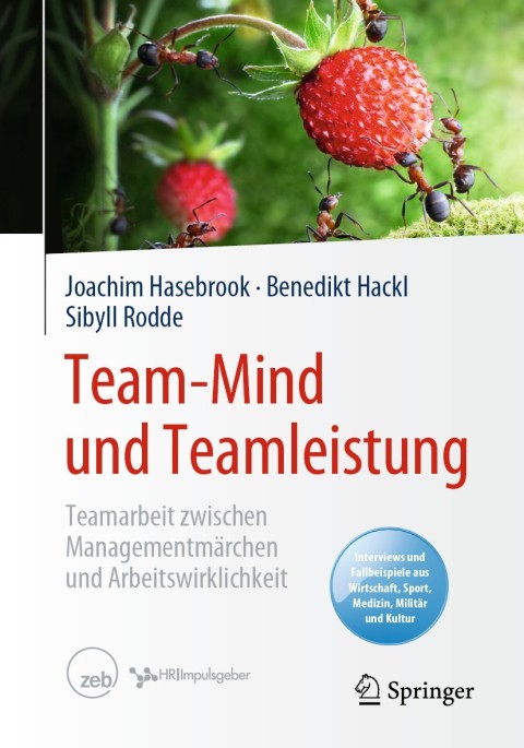 Cover image for book Team-Mind und Teamleistung